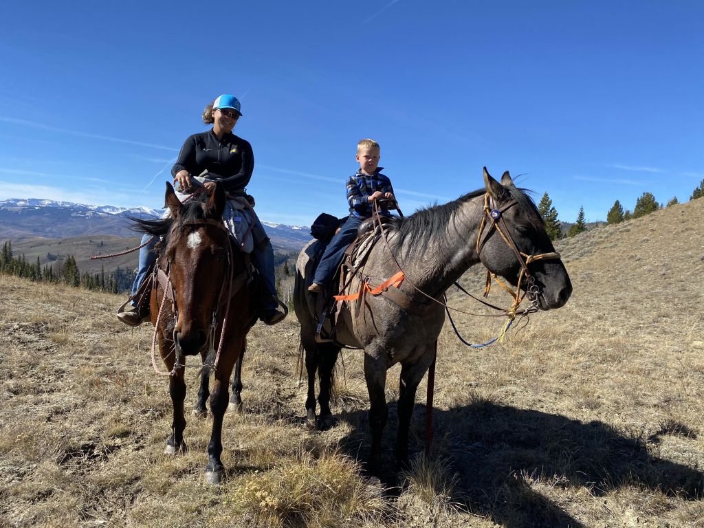 Cody Horse Sale, Downtown Cody Wyoming, Events in Cody