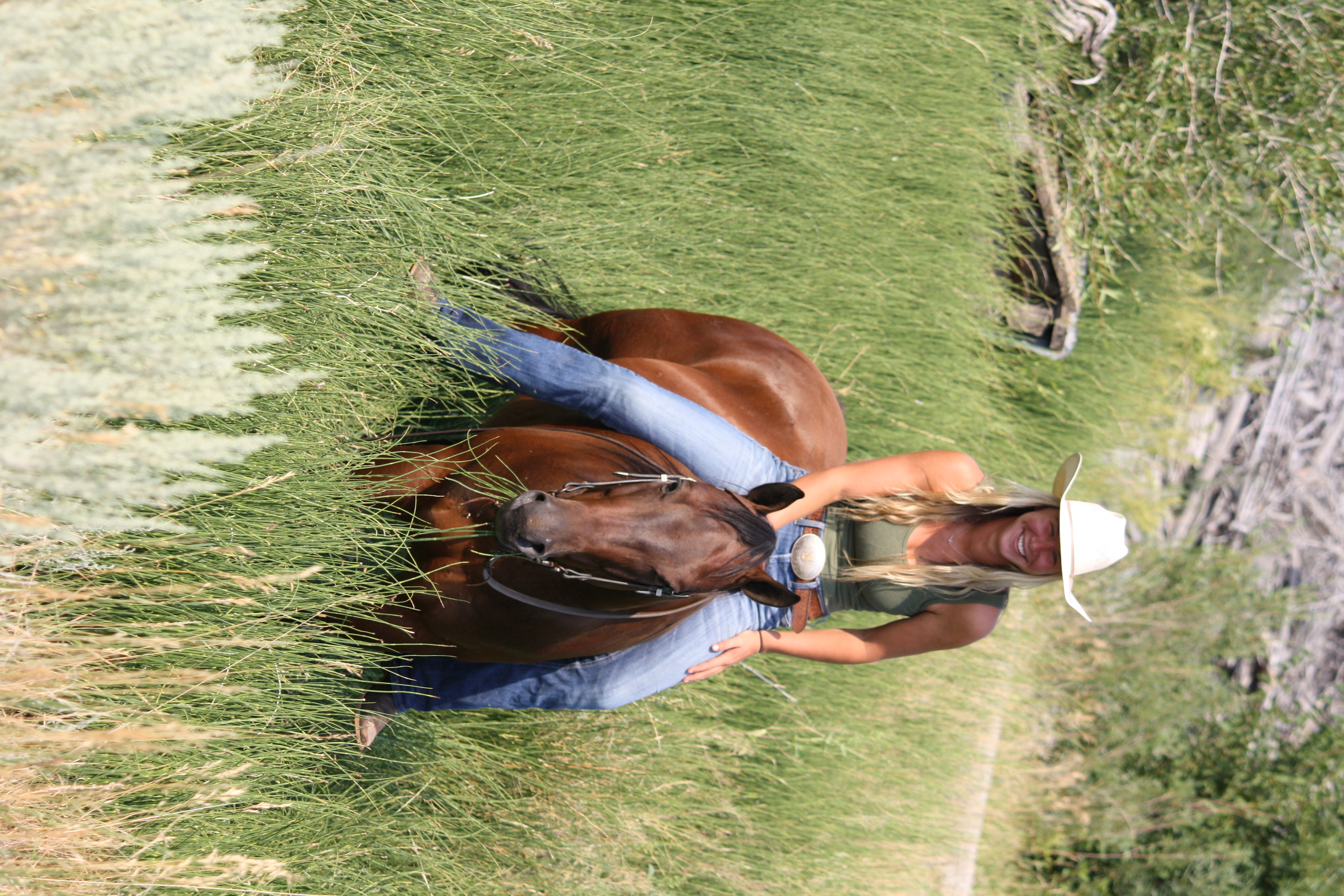 Trail horse