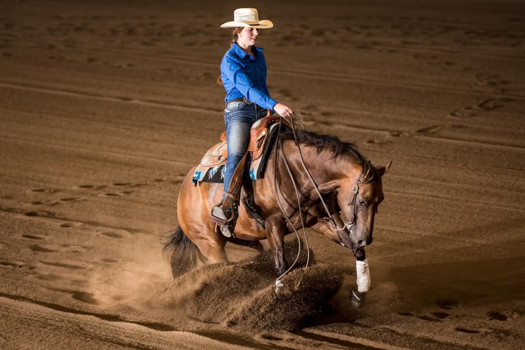 BIG smooth stop, easy to ride, just say WHOA