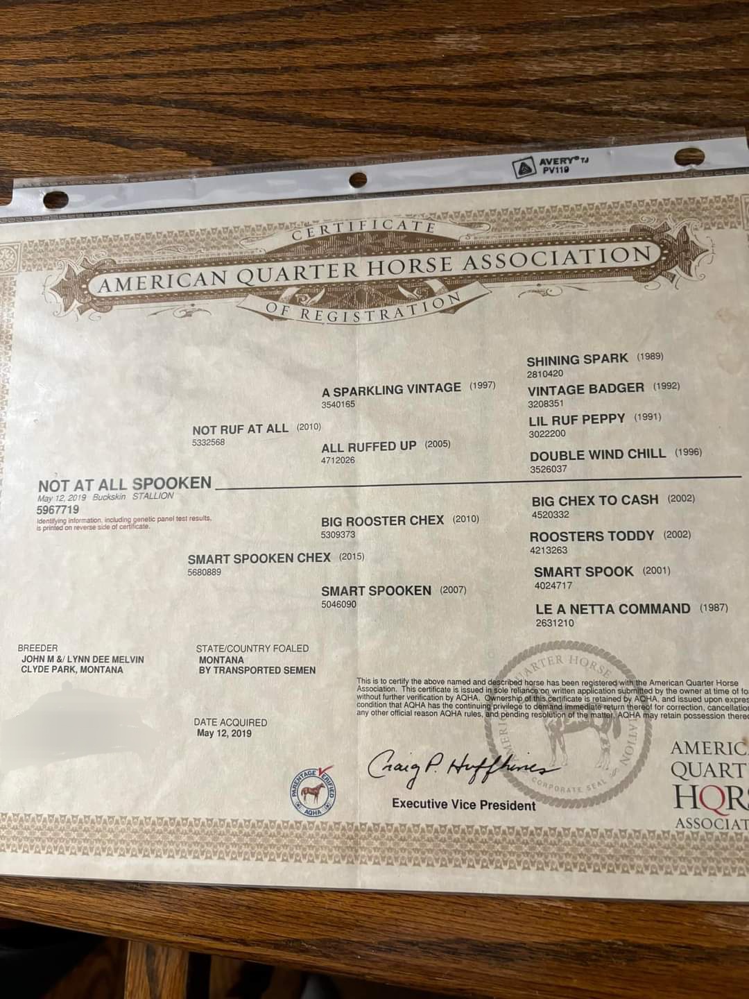 Own son of Not Ruf At All LTE over 456,000 and Triple Crown Winner!