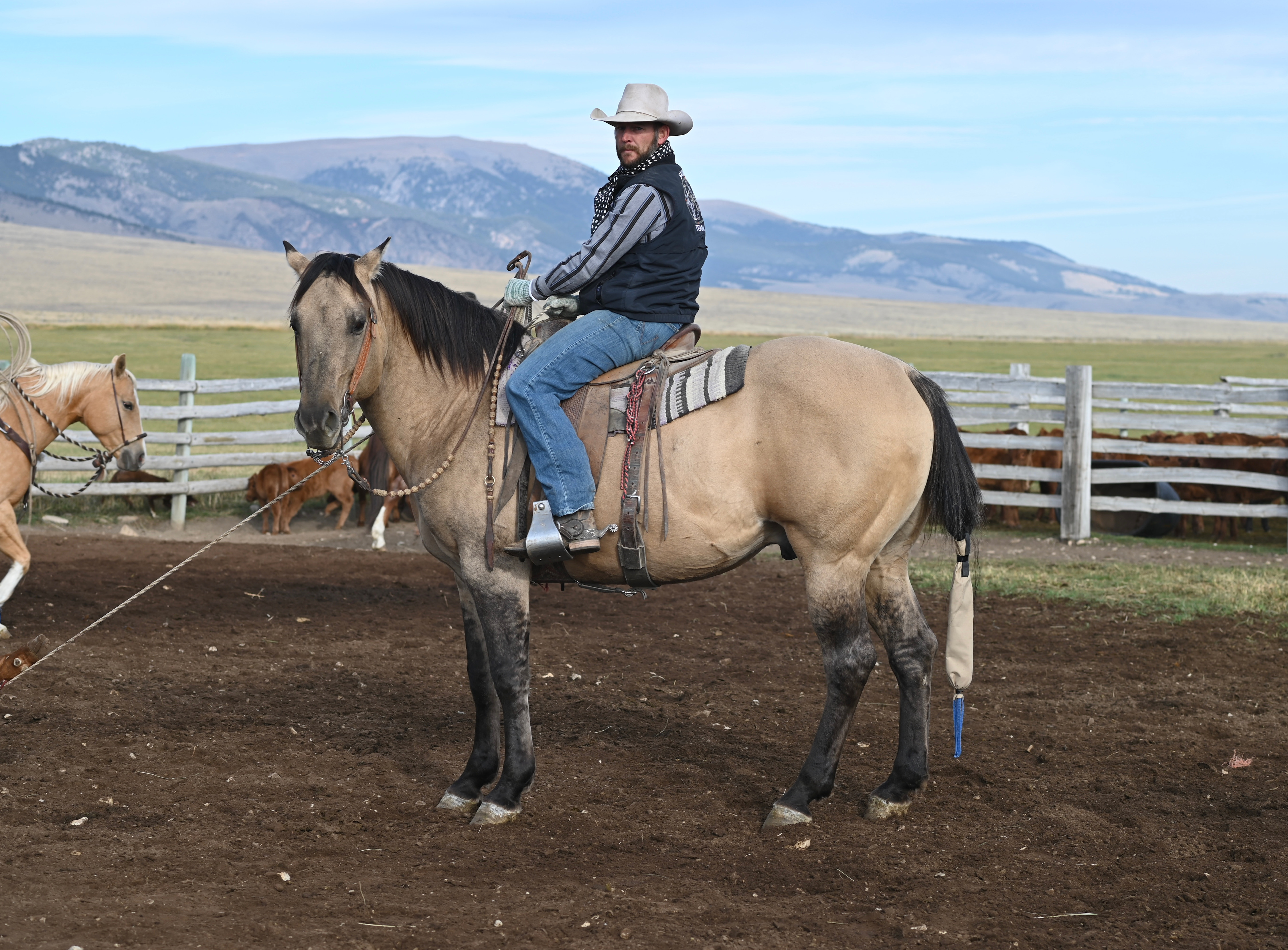 Rope horse 