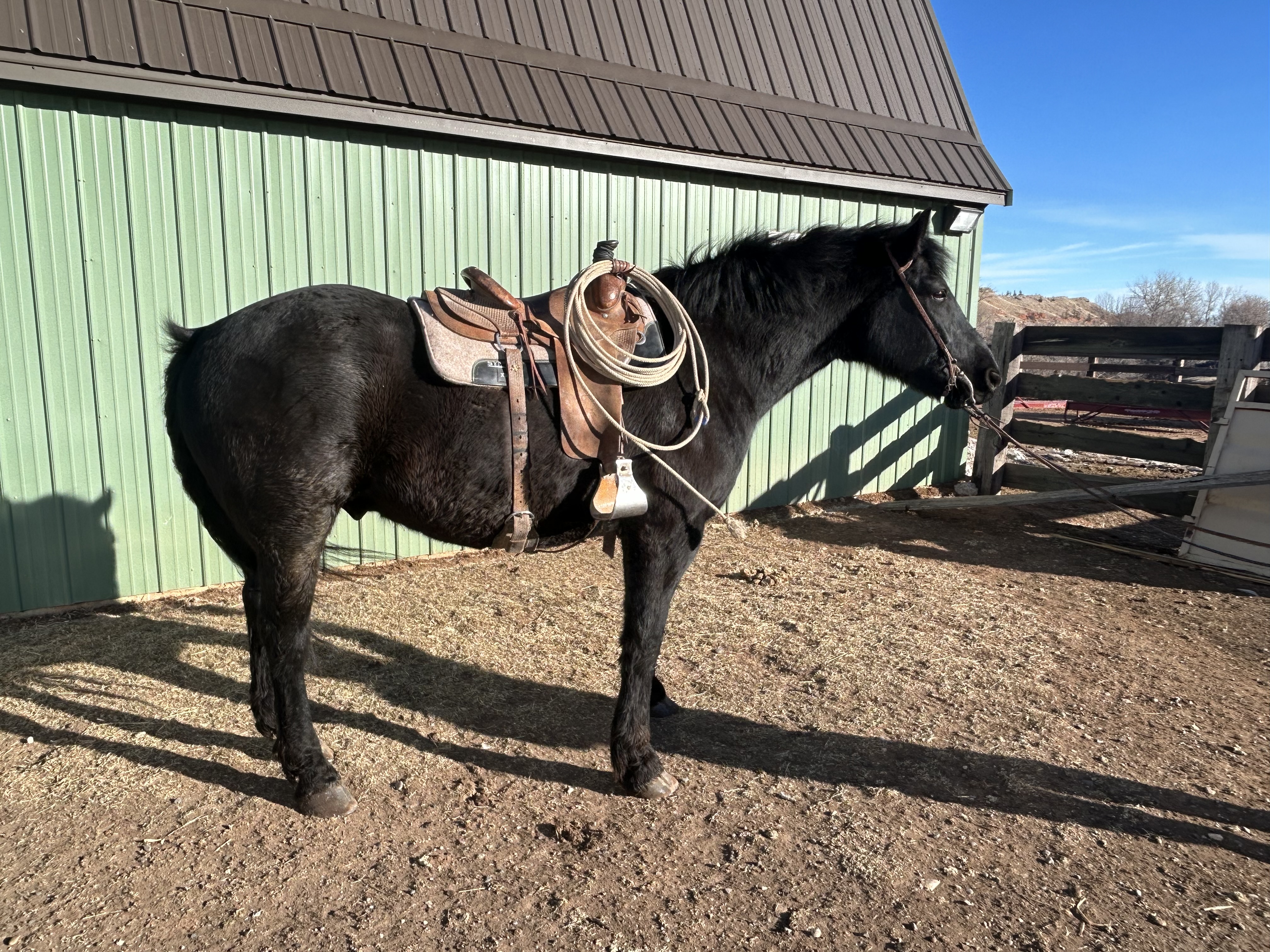 Saddle right side