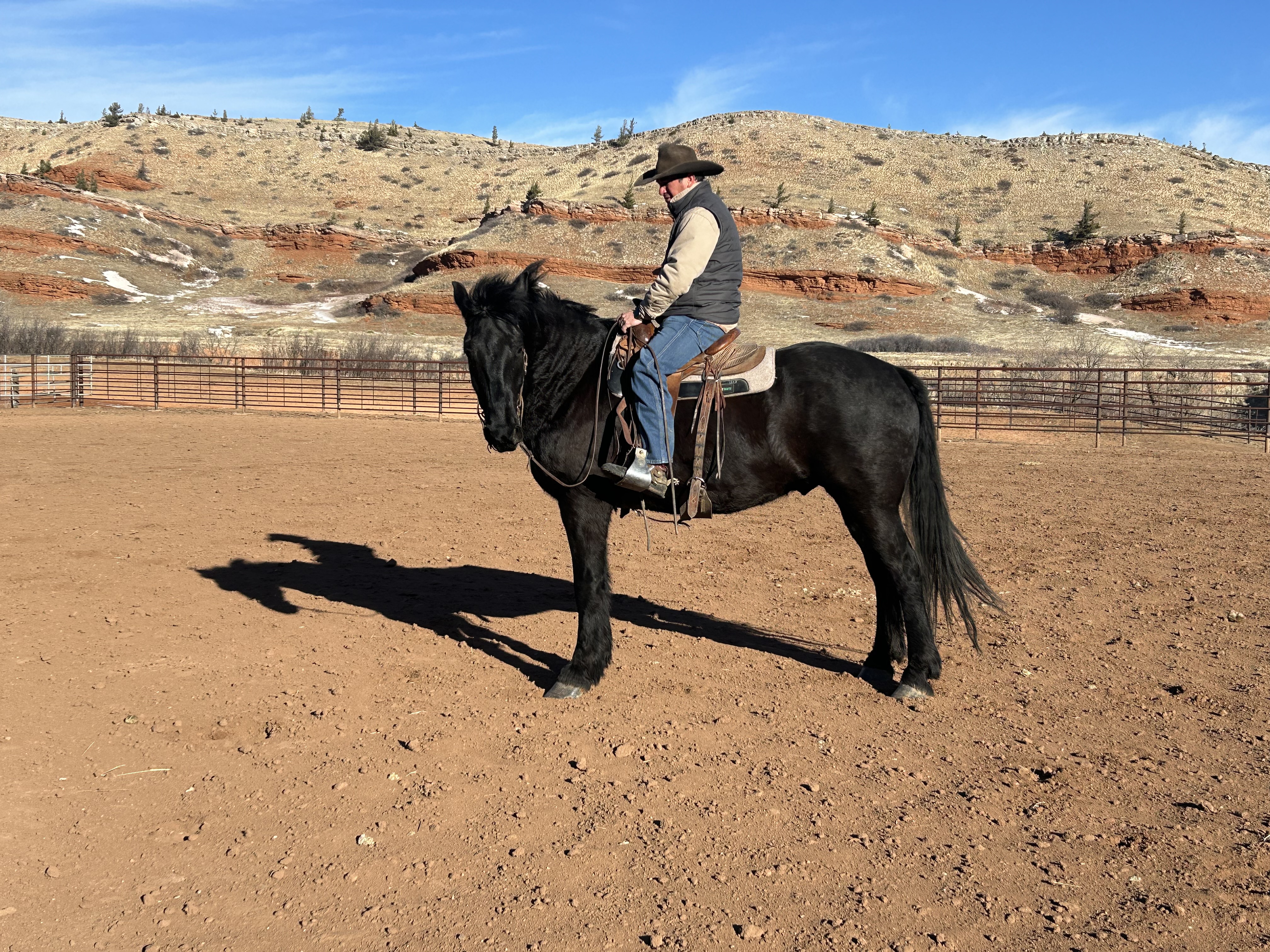 Rider side view 