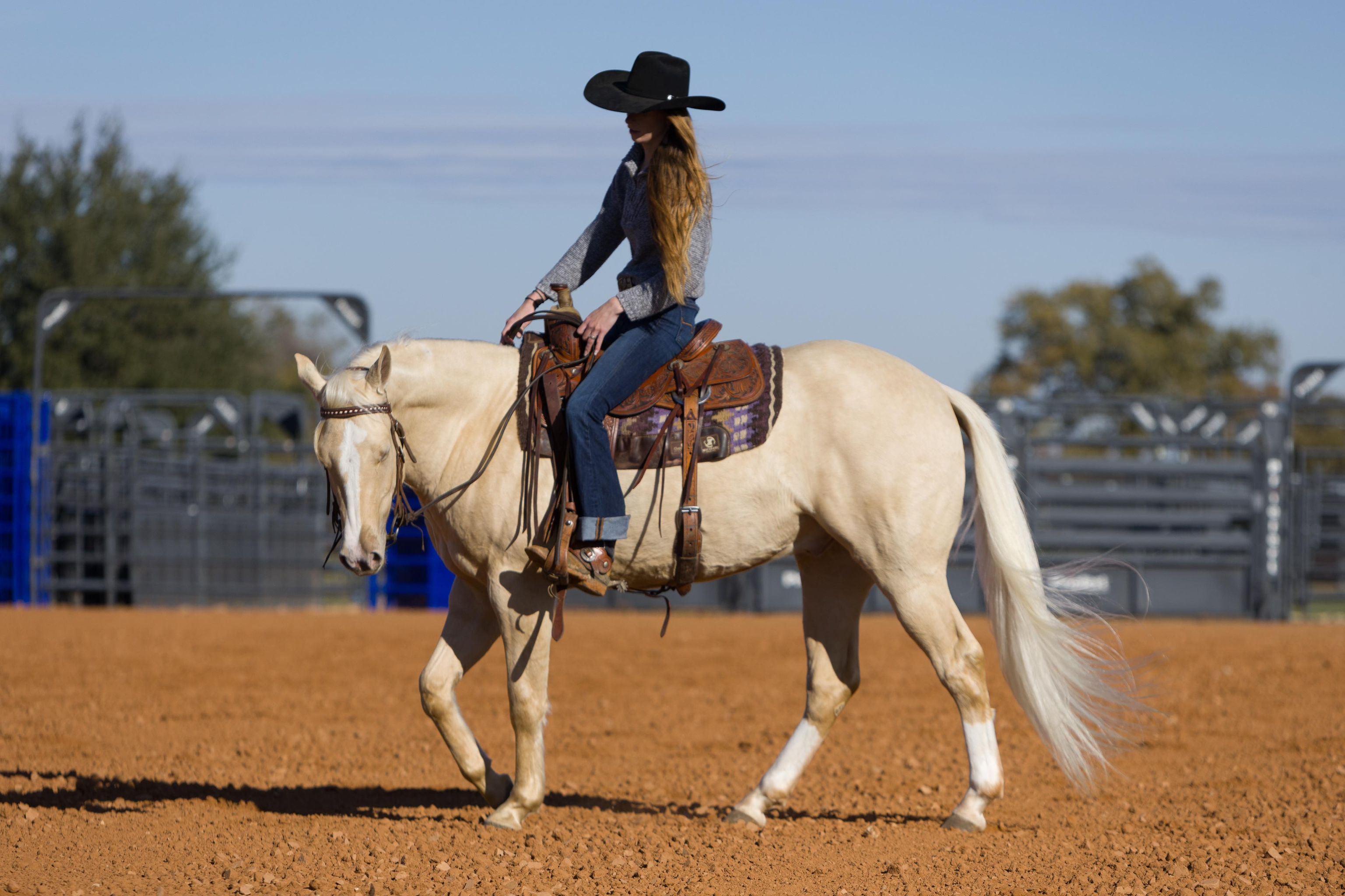 Ranch riding, reined cow horse, ranch horse, trail