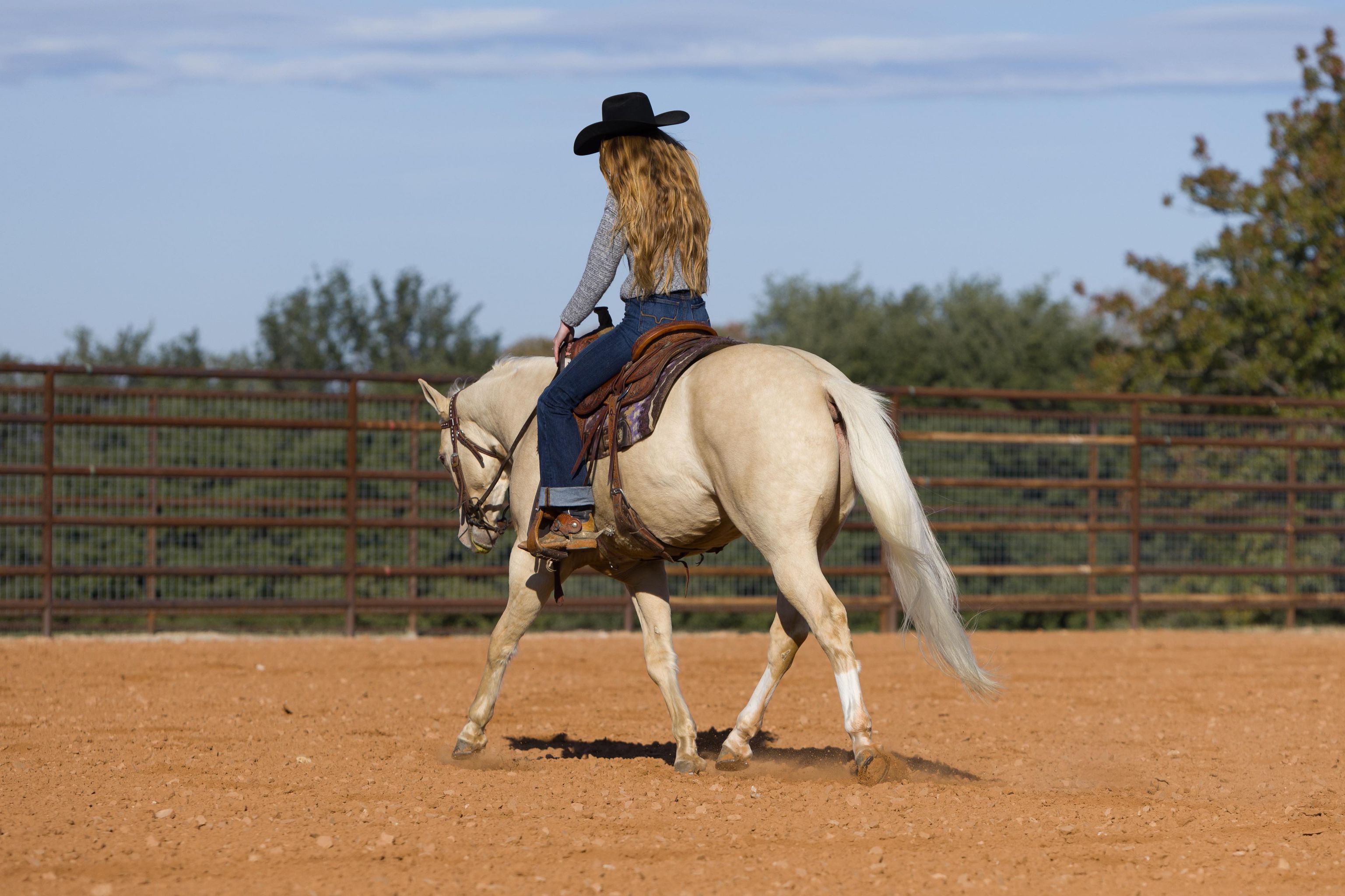 Ranch riding, reined cow horse, ranch horse, trail