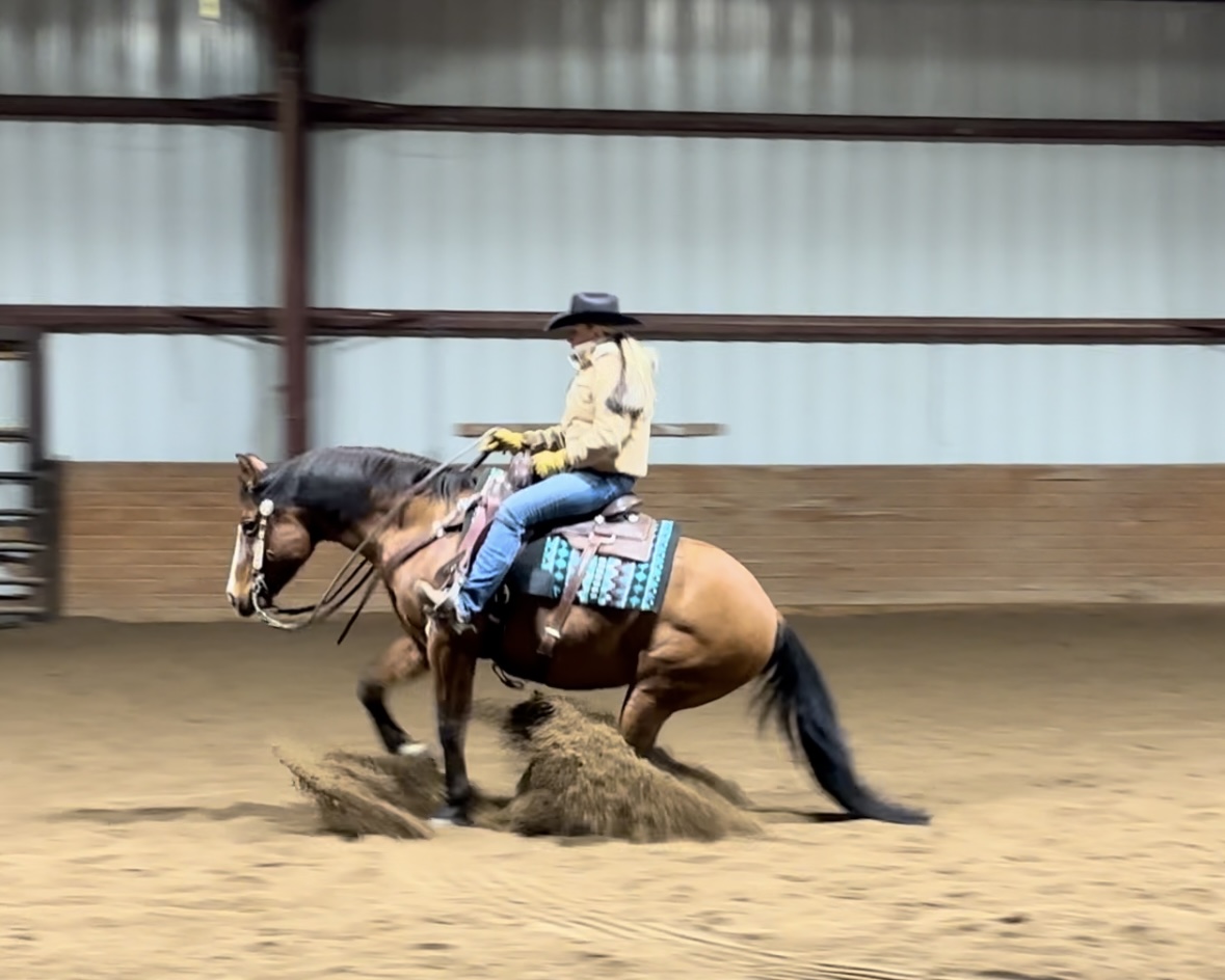 reining, show, ranch, performance, solid, beginner, advanced, horsemanship, finished, broke, trail, kids, safe, lesson, AQHA, NRHA