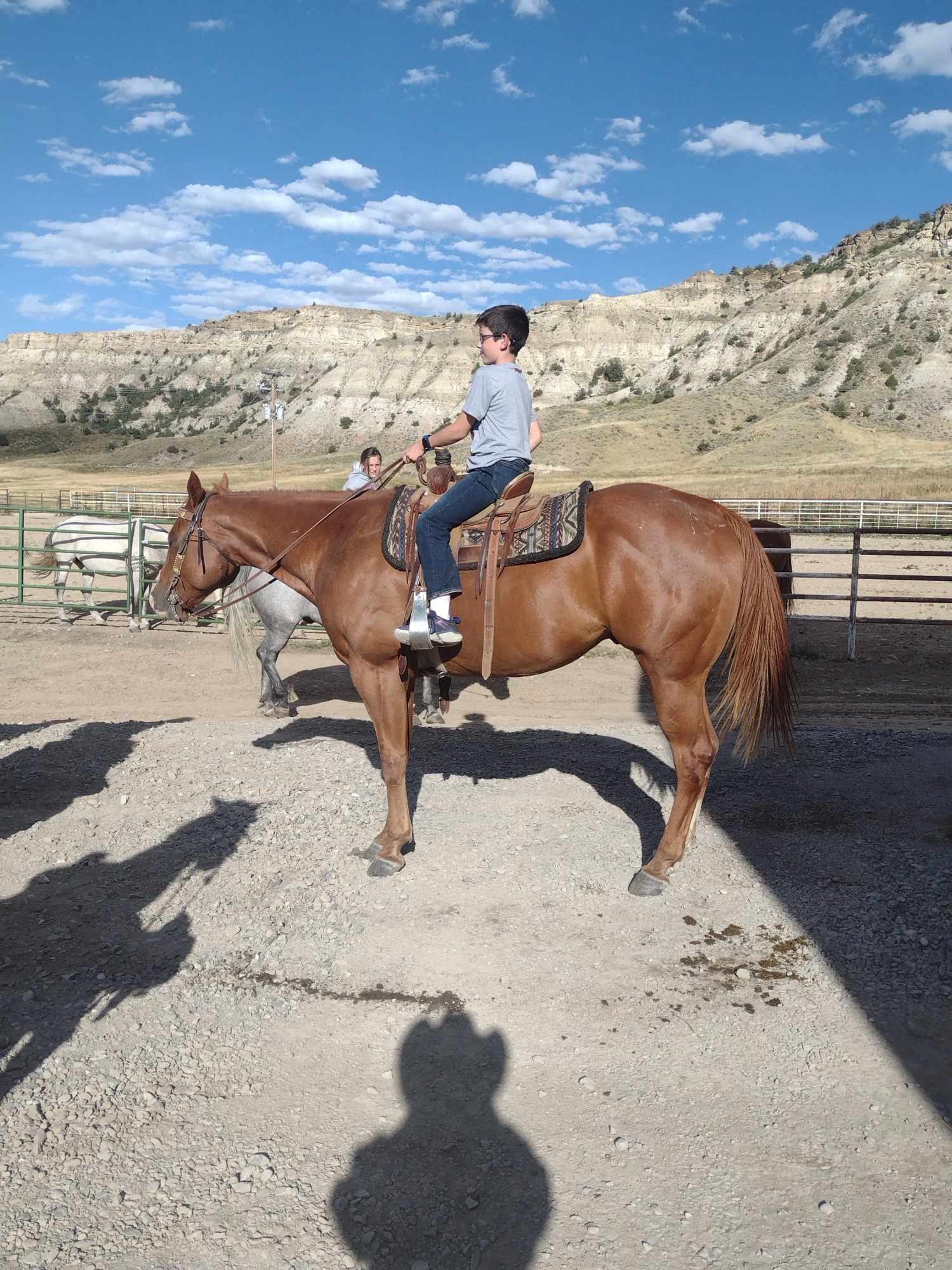 Kid horse, ranch horse