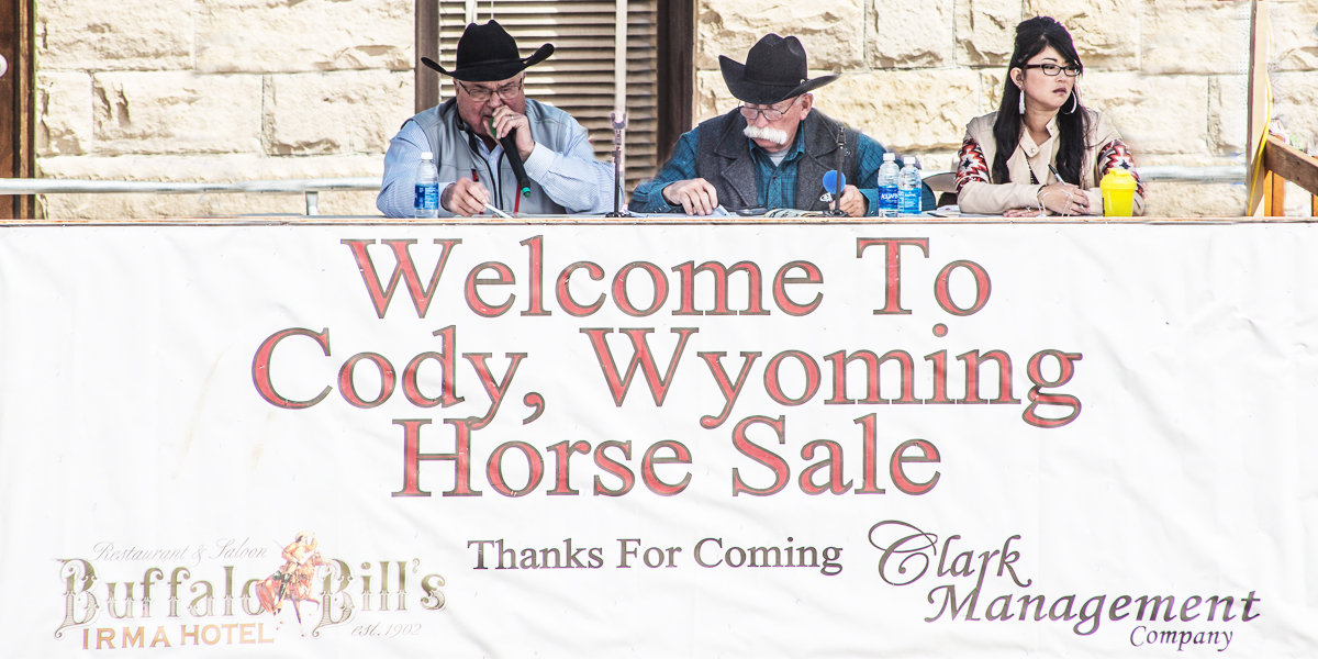 horse sale, horse for sale, Cody, Cody Wyoming, horse auction